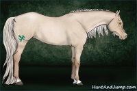 Horse Color:Silver Bay Roan Pearl Dun 
