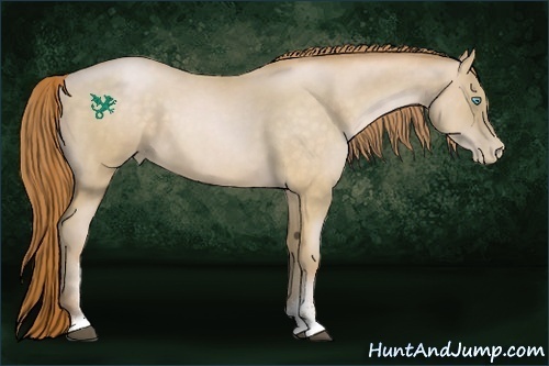 Horse Color:Buckskin Roan Pearl Sabino 