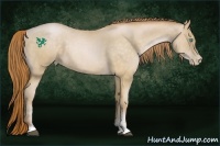 Horse Color:Buckskin Roan Pearl Sabino 