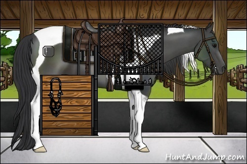 Horse Color:Black Tobiano 