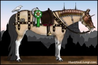 Horse Color:Bay Roan Dun Sabino