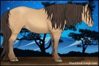 Horse Color:Amber Champagne