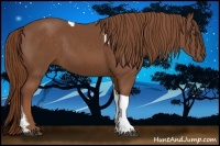 Horse Color:Chestnut Tobiano