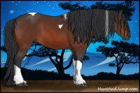 Horse Color:Bay Tobiano 