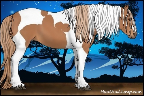 Horse Color:Chestnut Tobiano 