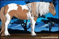 Horse Color:Chestnut Tobiano 