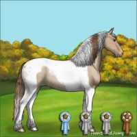 Horse Color:Grullo Pearl Tobiano Appaloosa Rabicano