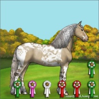 Horse Color:Silver Grullo Sabino Tobiano Rabicano