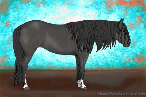 Horse Color:Black Sabino