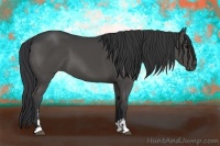 Horse Color:Black Sabino