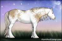 Horse Color:White Spotted Silver Buckskin Dun 