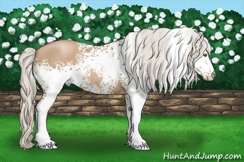 Horse Color:White Spotted Silver Black Pearl 