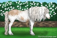 Horse Color:White Spotted Silver Black Pearl 