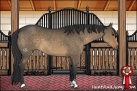 Horse Color:Brown Dun Sabino