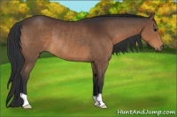 Horse Color:Brown Rabicano