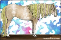 Horse Color:Painted White Spotted Liver Chestnut Pearl Splash Rabicano 