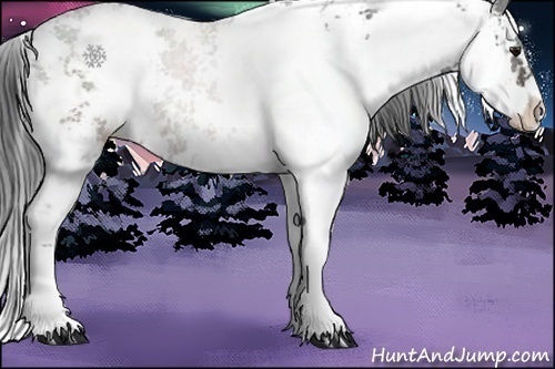 Horse Color:Brown Sabino