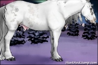Horse Color:Brown Sabino