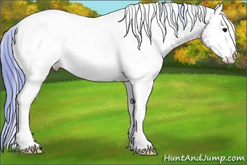 Horse Color:Watercolor White Spotted Black Pearl 