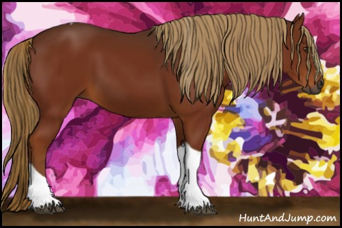 Horse Color:Gray Chestnut Tobiano 