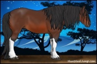 Horse Color:Bay Tobiano