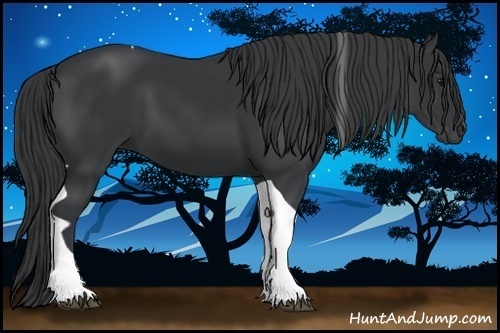 Horse Color:Black Tobiano 