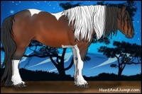 Horse Color:Bay Tobiano 