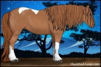 Horse Color:Chestnut Tobiano 