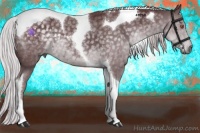 Horse Color:Chocolate Silver Black Chinchilla Tobiano 