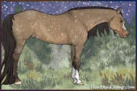 Horse Color:Liver Red Dun Snowflake Varnish