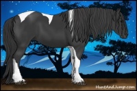 Horse Color:Black Tobiano