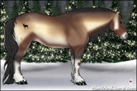 Horse Color:Bay Onyx 