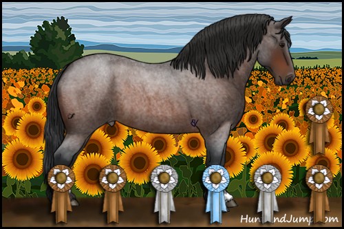 Horse Color:Brown Roan