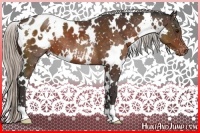 Horse Color:White Spotted Silver Brown Snowflake Varnish 