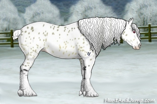 Horse Color:Silver Brown Chinchilla Sabino Appaloosa 
