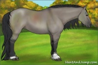 Horse Color:Grullo Sabino 