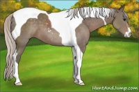 Horse Color:Silver Black Sabino Tobiano 