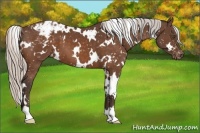 Horse Color:White Spotted Silver Brown Snowflake Varnish