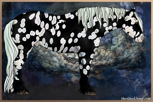 Horse Color:Watercolor Liver Red Ice Roan Pearl Splash Appaloosa 