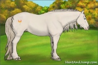 Horse Color:Smoky Creme 