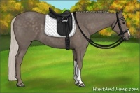 Horse Color:Silver Black 