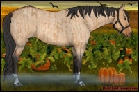 Horse Color:Bay Dun  and Bay Roan Dun 