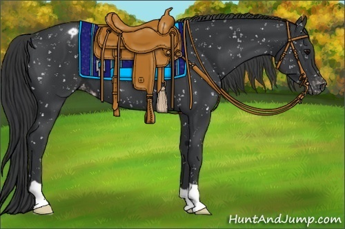 Horse Color:Black Snowflake Varnish 