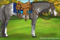 Horse Color:White Spotted Grullo Appaloosa Rabicano 