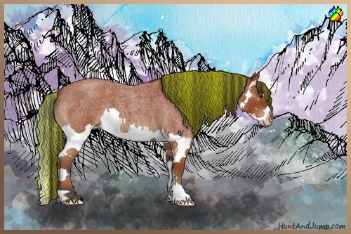 Horse Color:Painted Bay Roan Sabino Splash