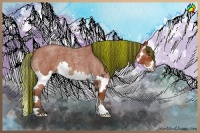 Horse Color:Painted Bay Roan Sabino Splash