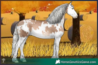 Horse Color:White Spotted Liver Chestnut Pearl Mushroom Splash 