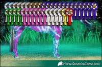 Horse Color:ERROR: UNKNOWN ANOMALY