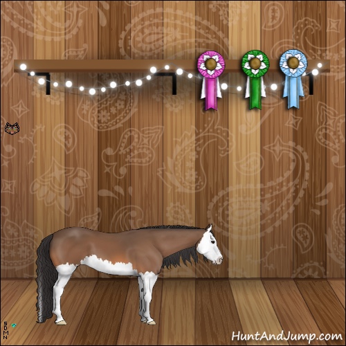 Horse Color:Buckskin Splash 