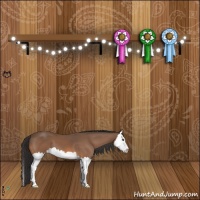 Horse Color:Buckskin Splash 